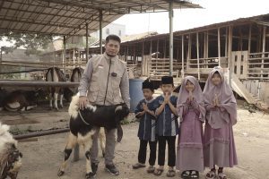 Panduan Memilih Hewan Kurban yang Sesuai Syariat Islam