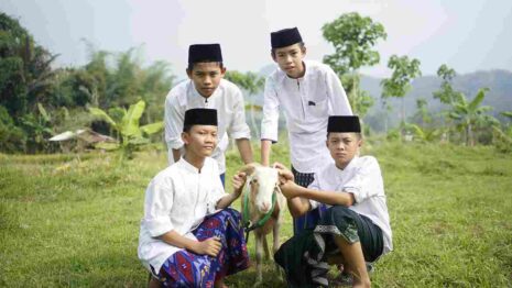 Kambing dan sapi adalah pilihan hewan Qurban yang paling umum. Namun, di antara keduanya, hewan mana yang lebih utama untuk diQurbankan?