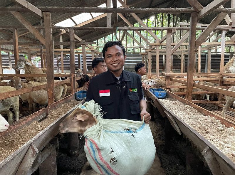 Pengiriman 141 Hewan Qurban ke Pulau Terluar Sumut oleh BMH