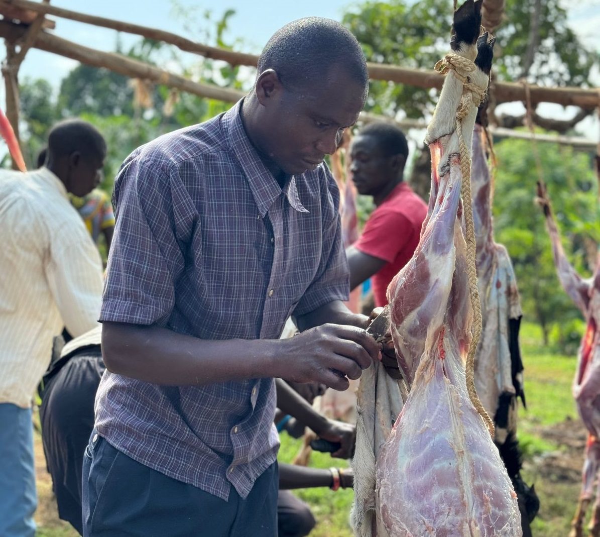 Baitul Wakaf Perkuat Ternak Produktif dan Distribusikan Kurban ke Afrika Utara