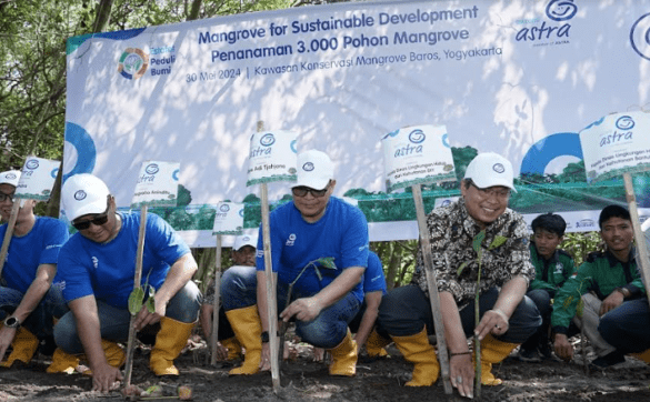 Asuransi Astra Tanam 3.000 Mangrove untuk Cegah Abrasi di Pantai Selatan