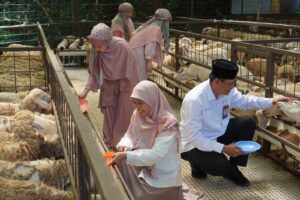 Rumah Zakat Luncurkan Kampanye #HebatBerqurban Jelang Idul Adha 1445 H