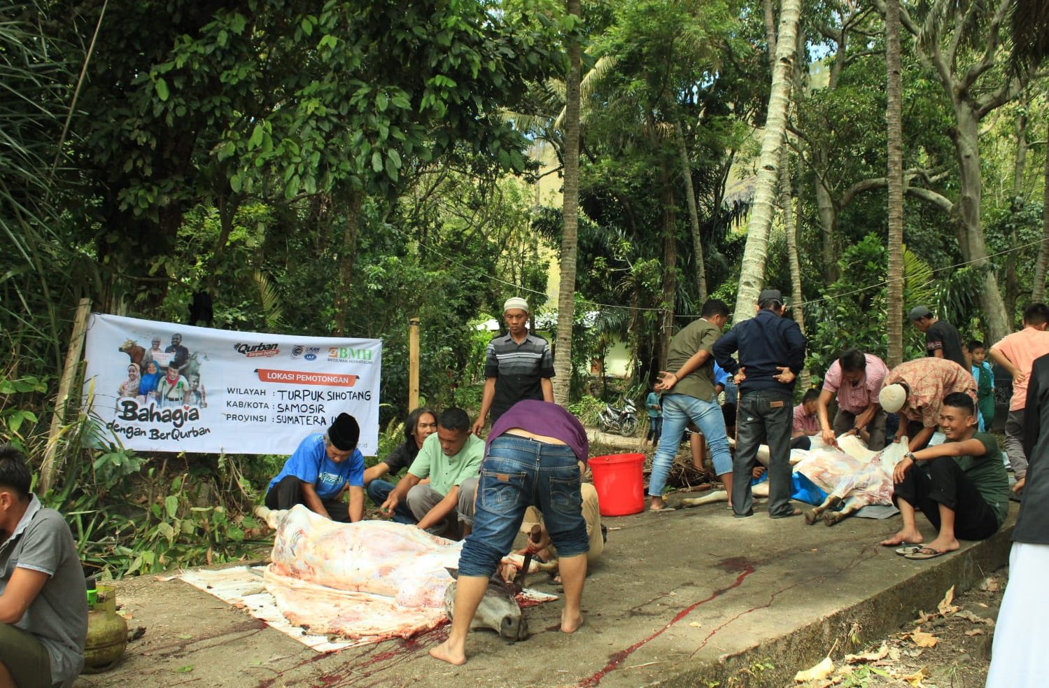 Beragam Kisah dari Penyaluran 201 Hewan Kurban BMH di Sumatera Utara
