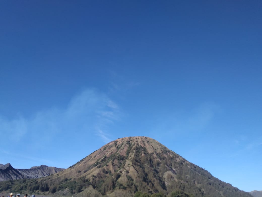 Hargai Keberagaman, LPPOM Buka Suara Mengenai Penolakan Wisata Halal dan Festival Non-Halal