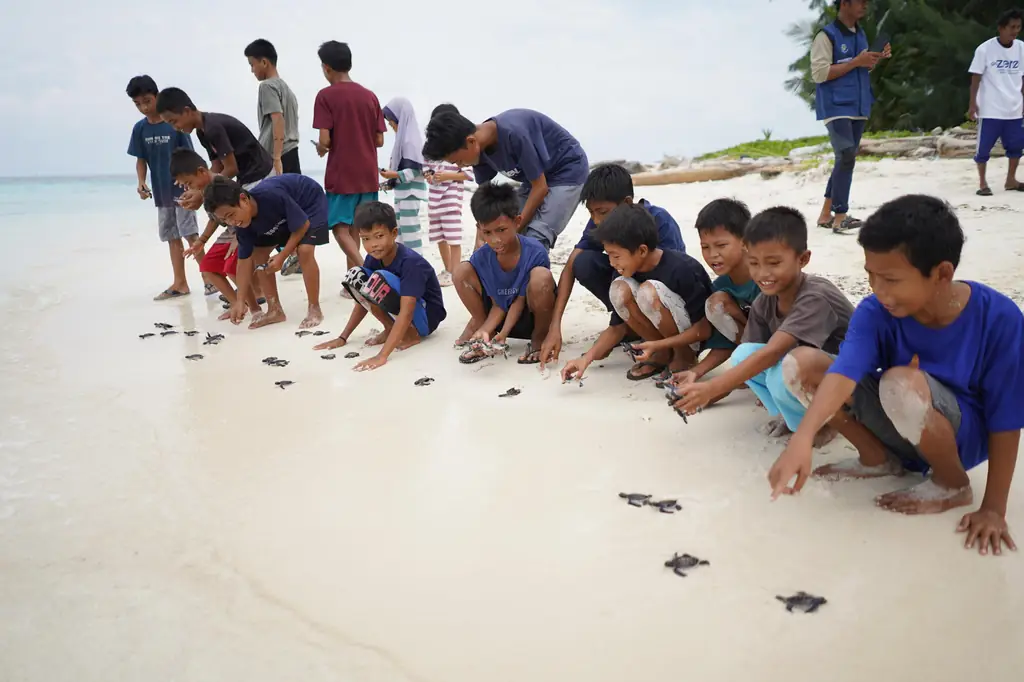 elkom Rayakan Hari Penyu Dunia dengan Konservasi di Pulau Kapoposang