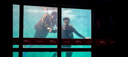 scuba