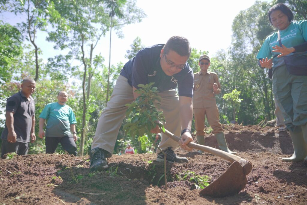 ciamis1