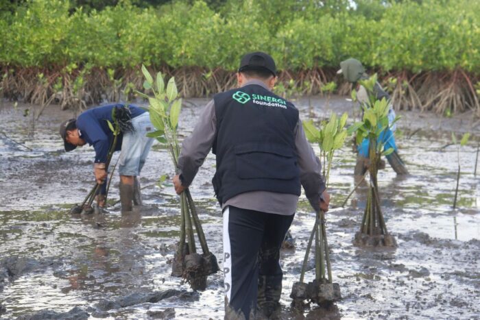 WhatsApp Image 2026-04-27 at 10.32.17